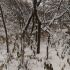 дача на улице Артельная