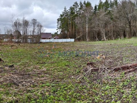 snt-stroitel-bogorodskiy-municipalnyy-okrug фото