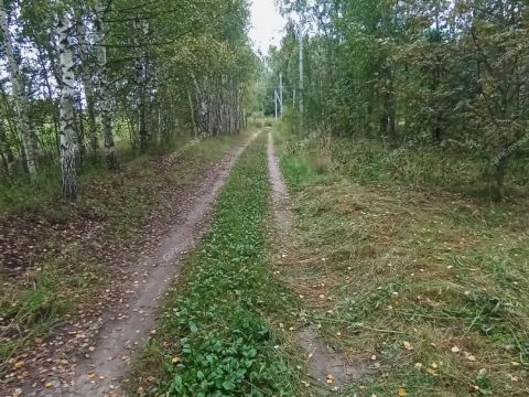 derevnya-priklonnoe-kantaurovskiy-selsovet-gorodskoy-okrug-bor фото