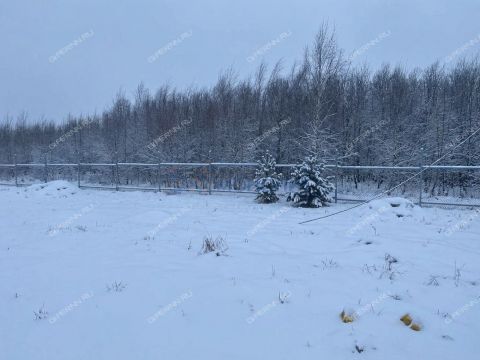 dom-derevnya-zaozere-bogorodskiy-municipalnyy-okrug фото