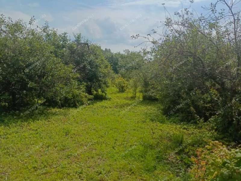 дом на Советской улице село Бармино