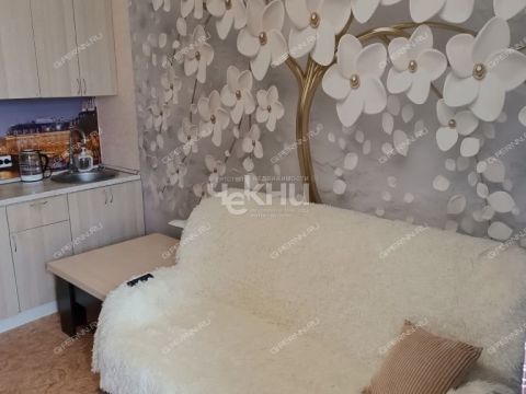 kvartira-studiya-ul-burnakovskaya-d-97 фото