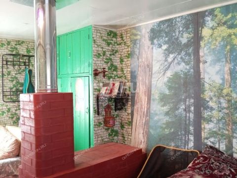dacha-snt-chayka-ter-gorodeckiy-rayon фото