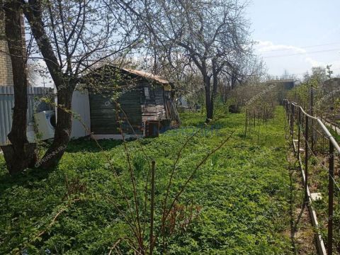 dacha-trud-ter-tsn-gorodskoy-okrug-bor фото