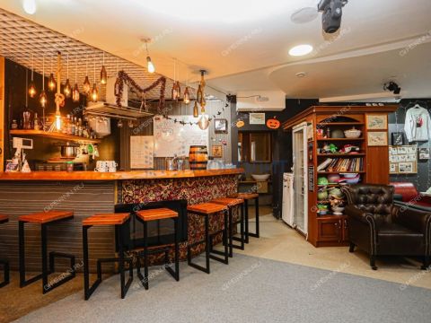 ul-maksima-gorkogo-d-226 фото