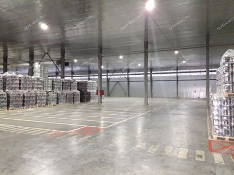 chaadaeva-ul-d-1rk2 фото