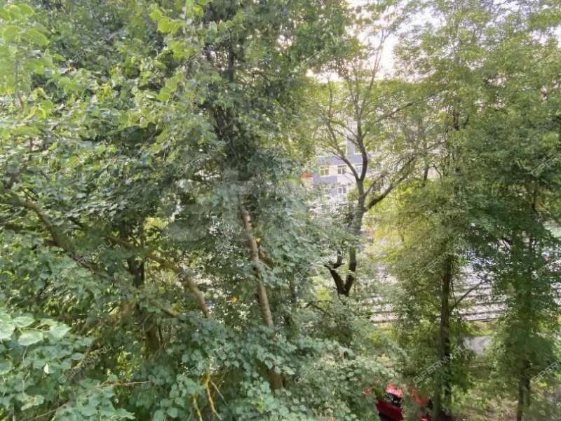 трёхкомнатная квартира на Малой Ямской улице дом 76