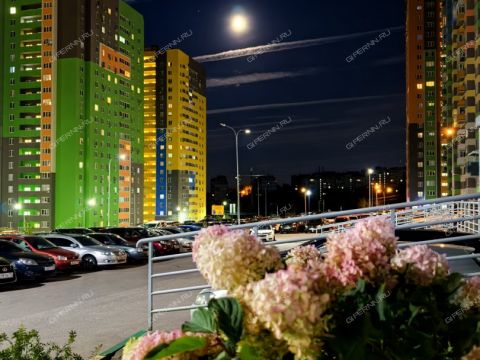 1-komnatnaya-derevnya-afonino-kstovskiy-rayon фото