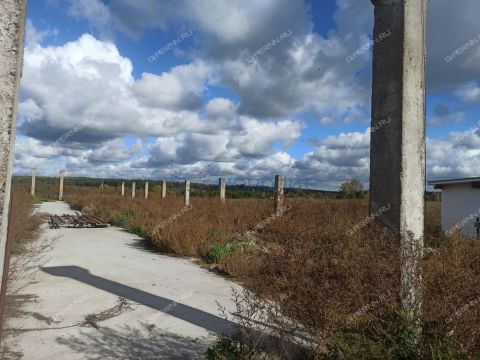 selo-vtorusskoe-gorodskoy-okrug-arzamas фото
