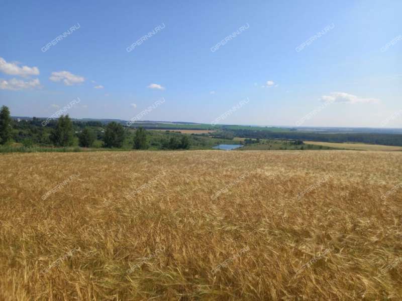 земельный участок 16 соток Зеленая улица село Румянцево