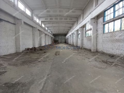 gorod-bor-gorodskoy-okrug-bor фото