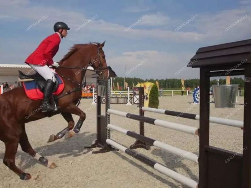 дом на деревня Курцево