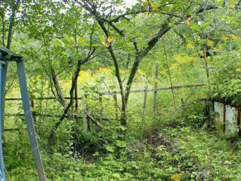 земельный участок 5,7 сотки «Маяк» садовое товарищество