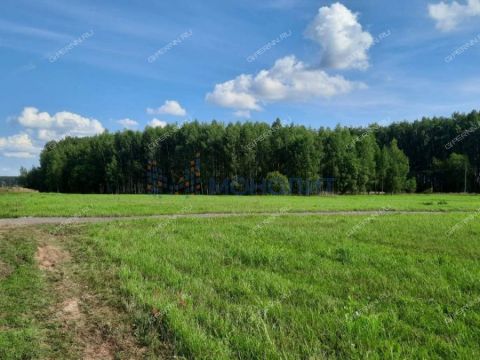 derevnya-krasnogorka-chernuhinskiy-selsovet-kstovskiy-rayon фото