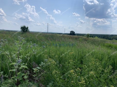 zelenyy-dol-sp-bogorodskiy-municipalnyy-okrug фото