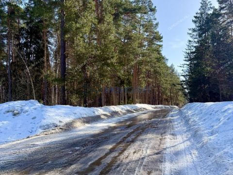 dom-derevnya-cheremisskoe-kstovskiy-rayon фото