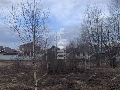 dnp-vozrozhdenie-gorodskoy-okrug-bor фото