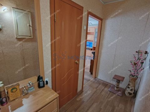 1-komnatnaya-ul-vasiliya-ivanova-d-23 фото