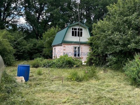dacha фото