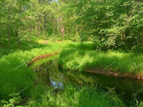 poselok-sovhoznyy-balahninskiy-municipalnyy-okrug фото