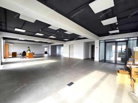 ul-larina-d-13d фото