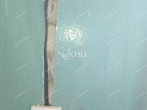 1-komnatnaya-gorod-zavolzhe-gorodeckiy-rayon фото