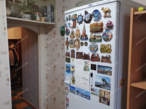 2-komnatnaya-ul-perehodnikova-d-27 фото