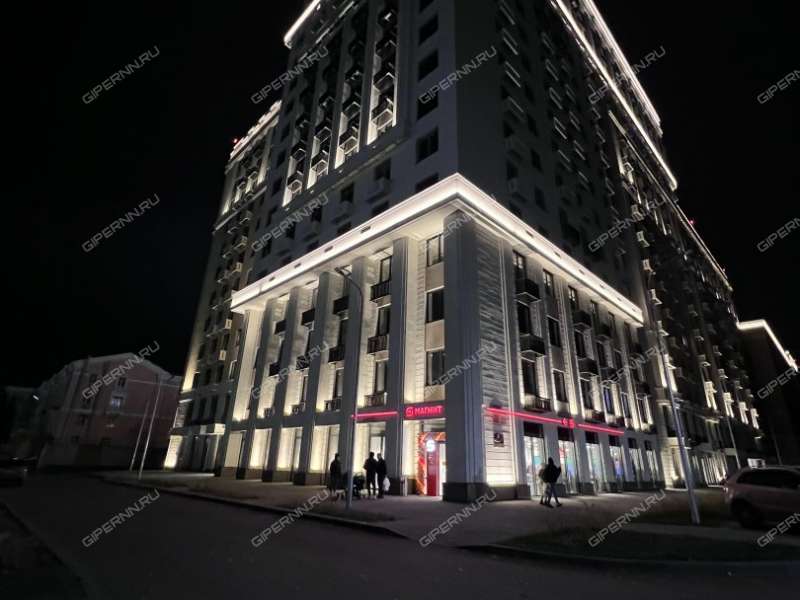 помещение под помещение свободного назначения, торговую площадь на Большей Печёрской улице