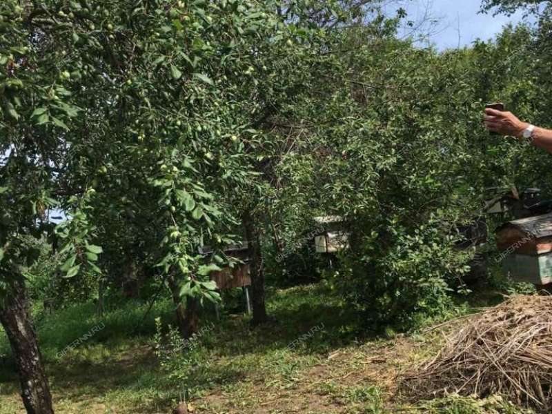 дом на Садовой улице город Богородск