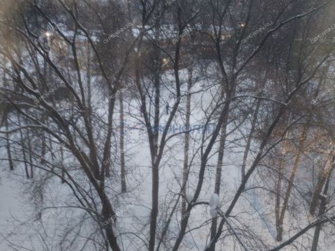 2-komnatnaya-ul-brinskogo-d-4-k1 фото