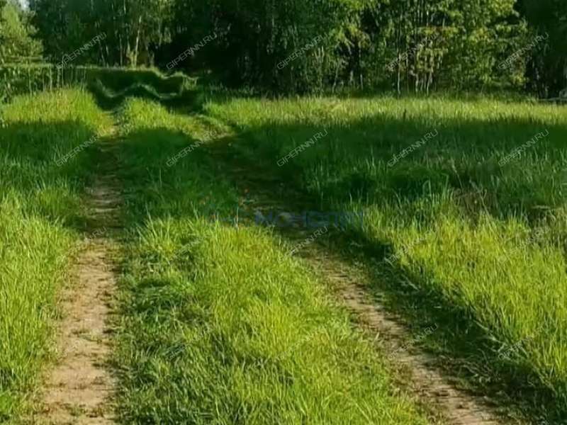 земельный участок 18 соток - село Тимонькино