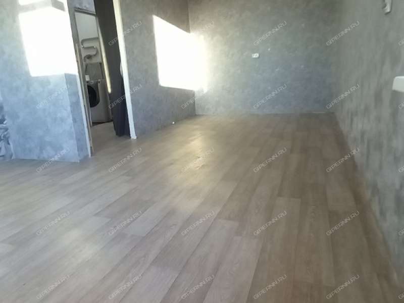 однокомнатная квартира на проспекте Ленина дом 45