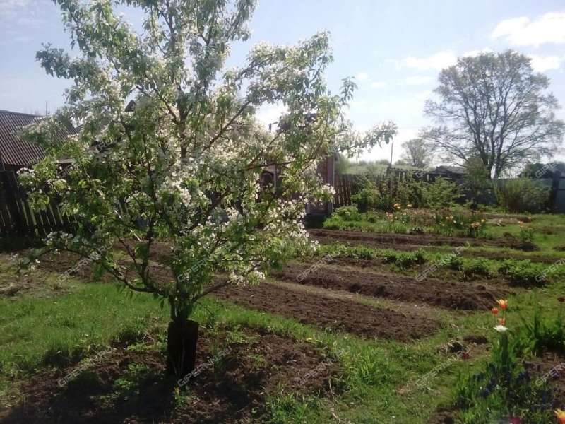 дом на  село Венец