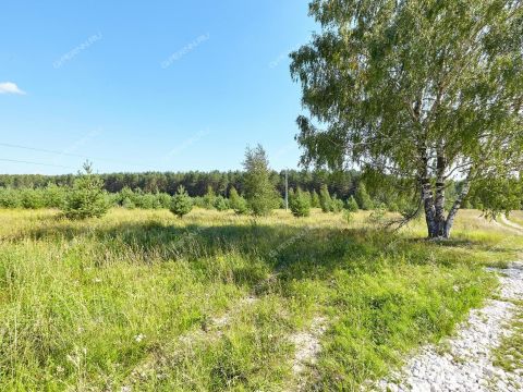 derevnya-shumilovo-bogorodskiy-municipalnyy-okrug фото