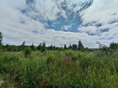 tsn-bugrov-park-dalnekonstantinovskiy-rayon фото