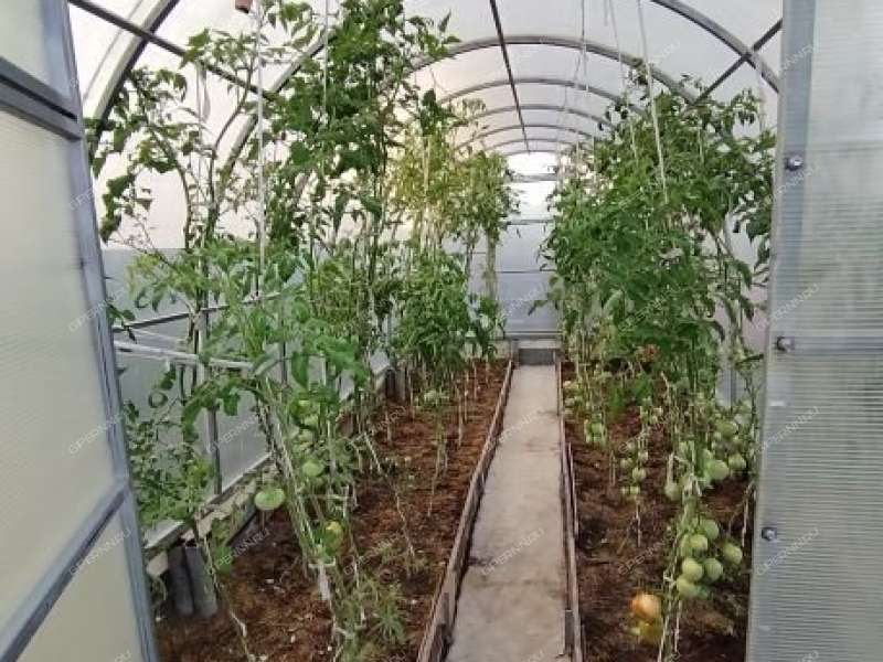 земельный участок 6,4 сотки СНТ Надежда