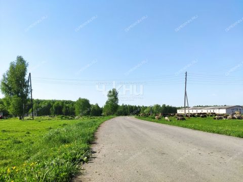 derevnya-mednikovo-gorodskoy-okrug-chkalovsk фото