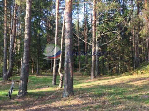 derevnya-vyazoviki-sokolskiy-gorodskoy-okrug фото