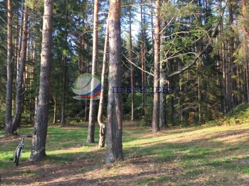 земельный участок 24 сотки деревня Вязовики