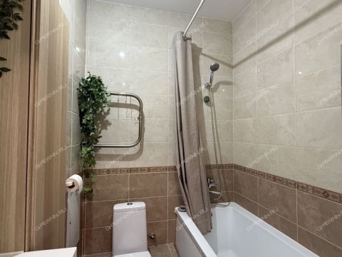 2-komnatnaya-derevnya-ankudinovka-kstovskiy-rayon фото