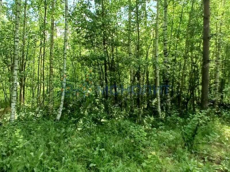 земельный участок 9,78 сотки - СНТ Родник-40