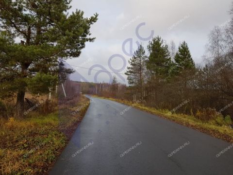 derevnya-novaya-vladimirovka-dalnekonstantinovskiy-rayon фото