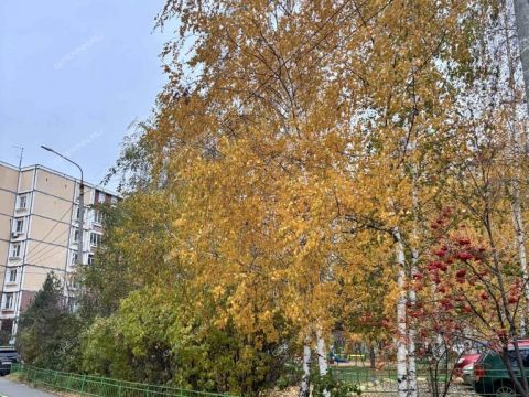 2-komnatnaya-ul-kerchenskaya-d-20v фото