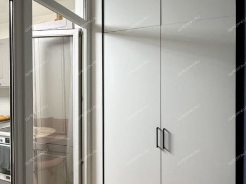 2-komnatnaya-ul-2-ya-oranzhereynaya-d-4a-k1 фото