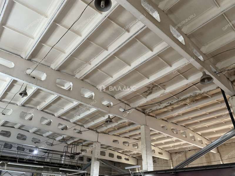 здание под офис, торговую площадь на Стеклозаводском шоссе город Бор