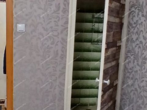 1-komnatnaya-gorod-bor-gorodskoy-okrug-bor фото