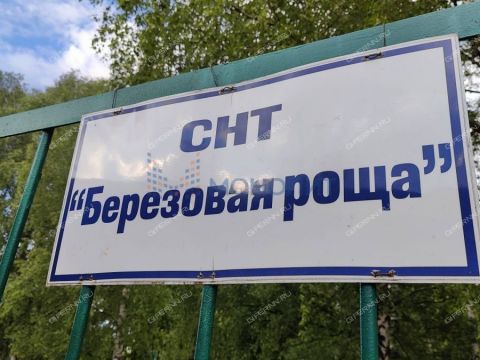dacha-derevnya-temryashino-gorodskoy-okrug-bor фото