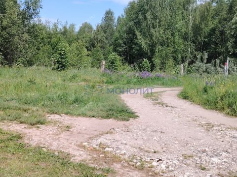 derevnya-chapurda-bogorodskiy-municipalnyy-okrug фото