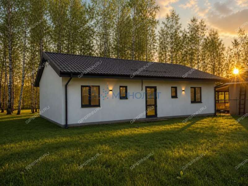 дом на улице Севастопольская деревня Шумилово