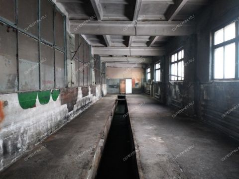 prosp-molodezhnyy-d-80 фото